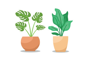 Set Hand drawn houseplant collection