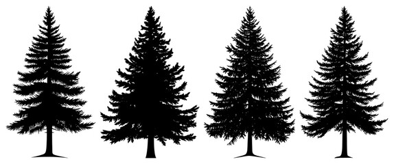 PNG Silhouette of four evergreen trees transparent background.