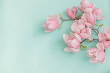 magnolia flowers on colorful paper background © Maya Kruchancova