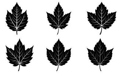 Mallorn Leaf Silhouette vector illustration