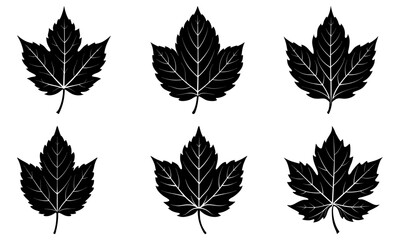 Mallorn Leaf Silhouette vector illustration