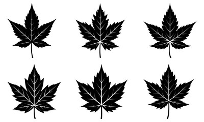 Japanese Maple Leaf Silhouette vector illustration