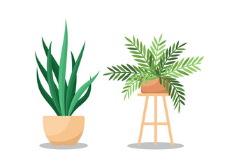 Set Hand drawn houseplant collection