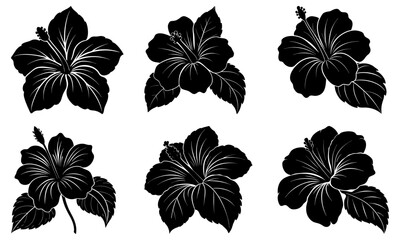 Hibiscus Silhouette vector illustration © Love