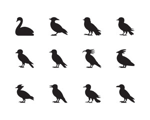 Set of bird silhouette vector, black and white background, vector and illustration, black and white, isolated on white background