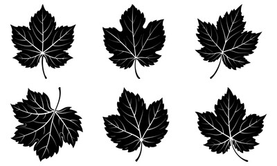 Grape Leaf Silhouette vector illustration