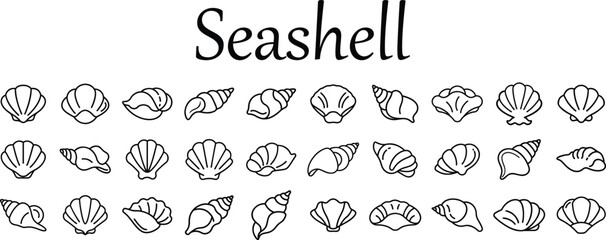 30 Set of seashells outline icon 
