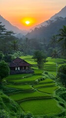 Serene sunset over lush rice terraces and a traditional house nestled in a mountain valley