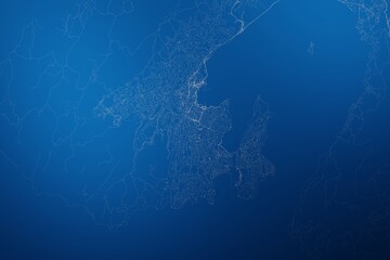 Stylized map of the streets of Wellington (New Zealand) made with white lines on abstract blue background lit by two lights. Top view. 3d render, illustration