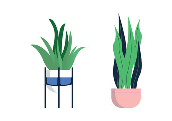 Set Hand drawn houseplant collection