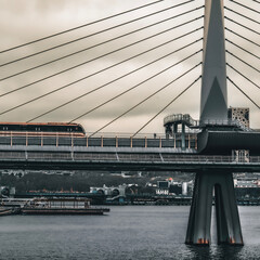 istanbul rome roma cologne t&uuml;rkiye human sea