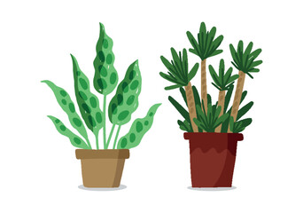 Set Hand drawn houseplant collection