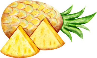 watercolor Pineapple