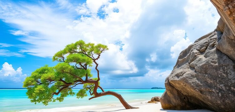 Serene beach scene, green tree, blue sky, white clouds framed by gray rock,  serene,  stone