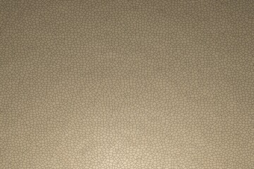 Leather texture, flat view. The name of the color is moccasin
