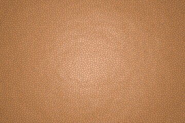 Leather texture, flat view. The name of the color is sandy brown