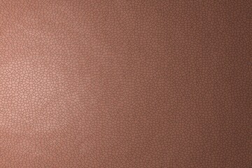 Leather texture, flat view. The name of the color is dark salmon