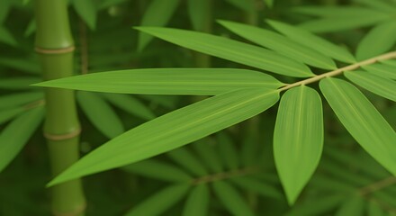 Obraz premium Professional Close up of Fresh Green Bamboo Leaves for Sustainable Material and Environmental Brand Marketing