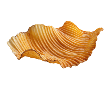 A single, wavy, golden-brown potato chip, with ruffled edges and visible parallel lines from cooking, isolated on a black background