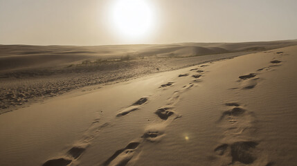 Desert footprints sunset golden hour sand dunes landscape