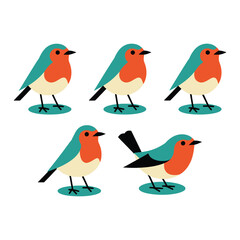 Fototapeta premium Set of robin bird vector artwork illustrations