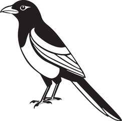 Beautiful hand-drawn magpie bird in black and white perfect for nature, wildlife, or tattoo designs