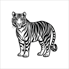tiger vector illustration