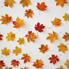 Fototapeta premium Several maple leaves in various stages of fall, gracefully descending against a bright white background , red leaf, isolated