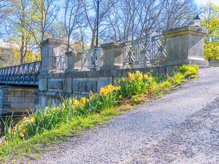 Scenic Bridge Surrounded by Blooming Yellow Flowers