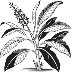 Black and white hand-drawn leaf branch with elegant lines, perfect for botanical or decorative design