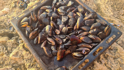 Opened baked mussels lying on a metal baking sheet on the seashore, fried seafood, cooking in nature