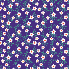 Christmas seamless pattern with berry and pine branch, winter design, hand drawn elements