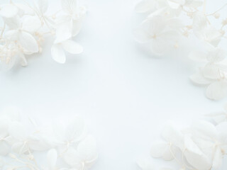 Minimalistic floral background with delicate white hydrangea petals arranged softly along the edges.