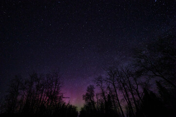 Fototapeta premium starry night sky