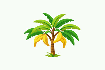 Obraz premium Banana tree