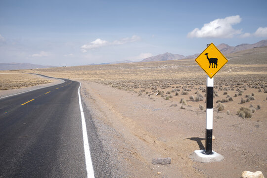 yellow road sign alpaca crossing