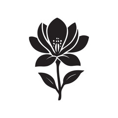 magnolia flower vector