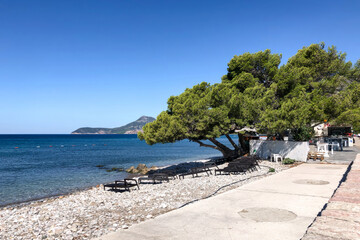 Sunny Mediterranean seafront with pebble beach, pine trees, and coastal promenade with sun loungers and a small cafe.