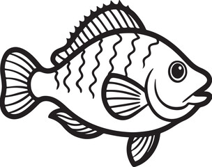 crappie fish line art, black outline, vector and illustration, coloring book page line art drawing