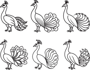 set of peacock line art, black outline, vector and illustration, coloring book page line art drawing