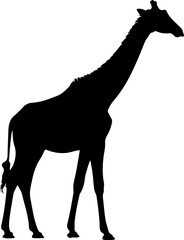 giraffe line art silhouette illustration