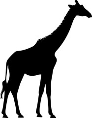 giraffe line art silhouette illustration