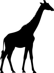 giraffe line art silhouette illustration