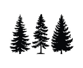 Obraz premium Forest Pine Tree Silhouette Vector Template