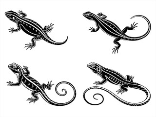 curly tailed lizard sihouette black vector bundle
