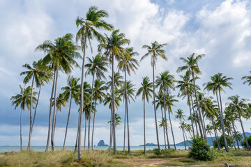 Summer vacation on the island of Koh Yao Yai, Thailand