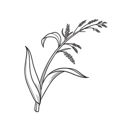 Abstract vector illustration of ripe yellow corn