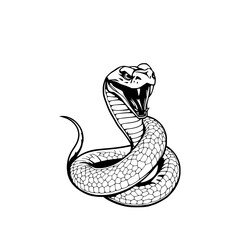 Fototapeta premium Cobra Strike: A fierce monochrome illustration depicts a cobra in a striking pose, its scales and fangs meticulously detailed.