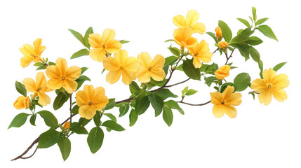 Elegant yellow flowers branch with green leaves PNG transparent background
