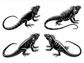 iguana sihouette black vector bundle
